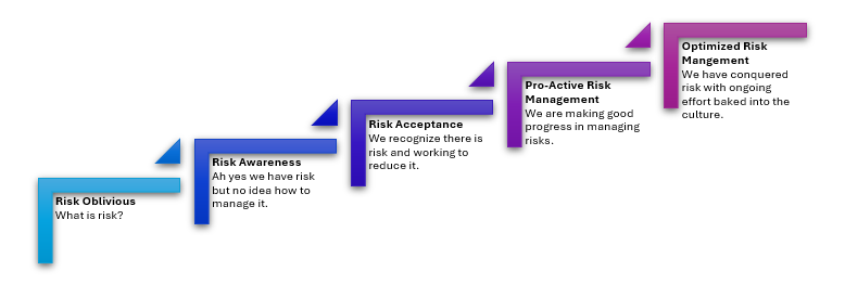 Risk Maturity Model